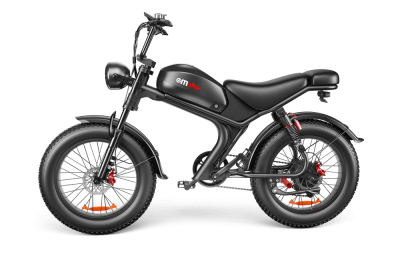 C93- Dual-drive High-speed Electric Bike