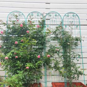 4 Pack Metal Garden Trellis 86.7" x 19.7" Rustproof Trellis for Climbing Plants Outdoor Flower Support Light Green